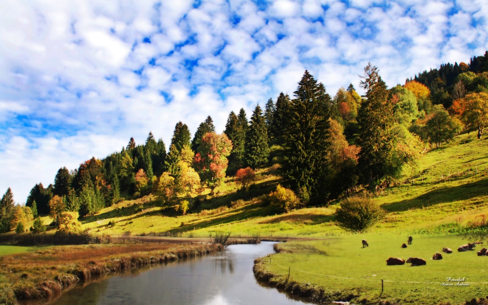 BEAUTIFUL NATURE HD WALLPAPERS 1080p ~ HD WALLPAPERS